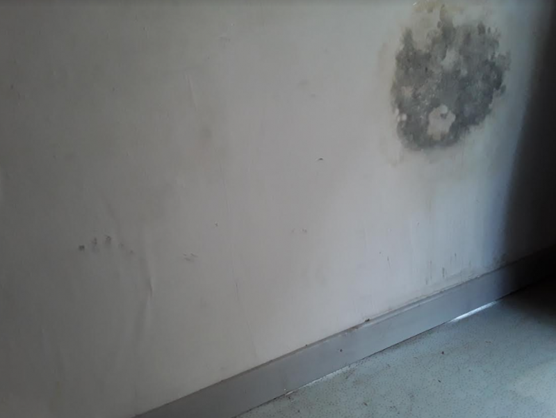 Assèchement des murs à Uzès (30 700)