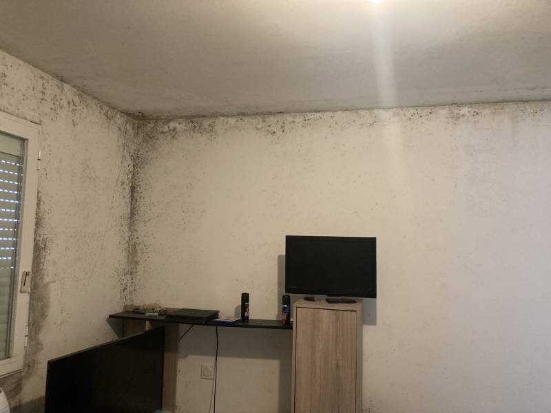 Nettoyer les moisissures à Montpellier 34