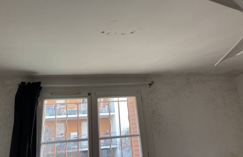 Moisissures, logement humide à Sommières Gard
