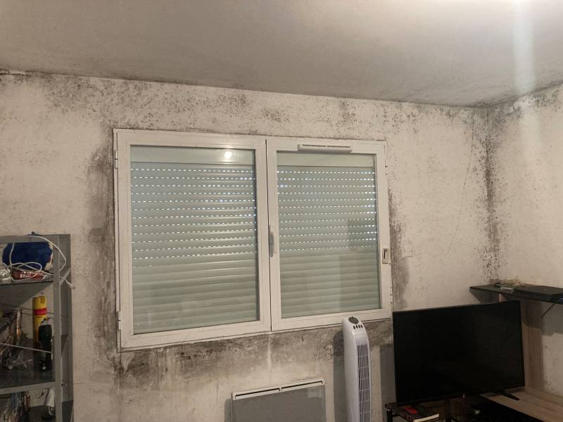 Moisissures et humidité à Baillargues Hérault 34