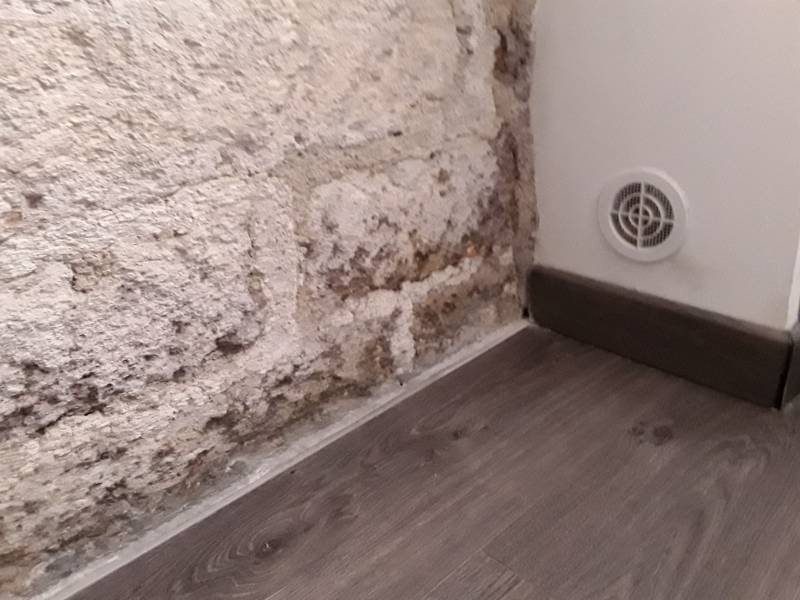 Comment supprimer l’humidité des murs par remontées capillaires avec moisissures noires et franges blanches de salpêtre.